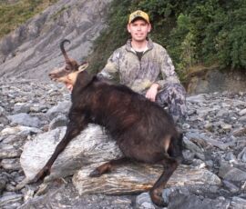 Trophy chamois buck