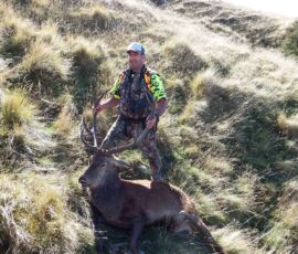 Red Stag Trophy