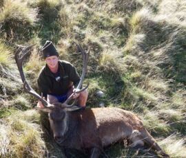 Red Stag Trophy