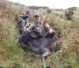 Charlie and his free range fallow buck