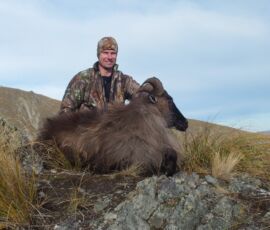 Dan and golden maned trophy bull