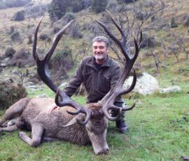 Red Stag Trophy