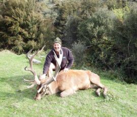Red Stag Trophy