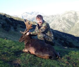 Fallow Trophy