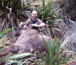 Trophy Tahr