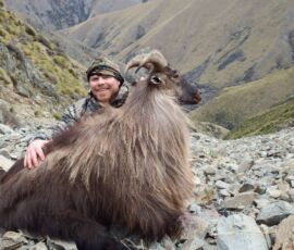 Trophy Tahr