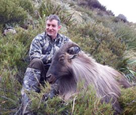 Trophy Tahr