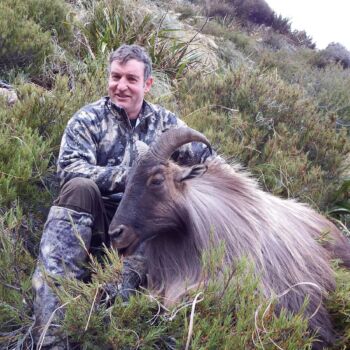 Trophy Tahr