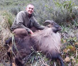 Greg with big old bull tahr