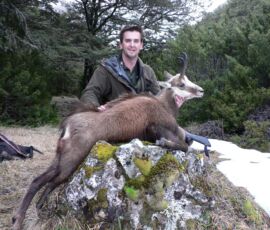Gregs trophy chamois