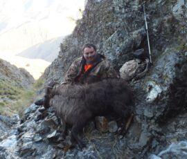 Hamish with his waterfall trophy bull tahr