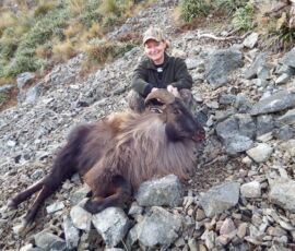 Janes magnificent trophy bull tahr